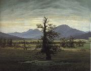 Caspar David Friedrich The Solitary Tree Spain oil painting artist